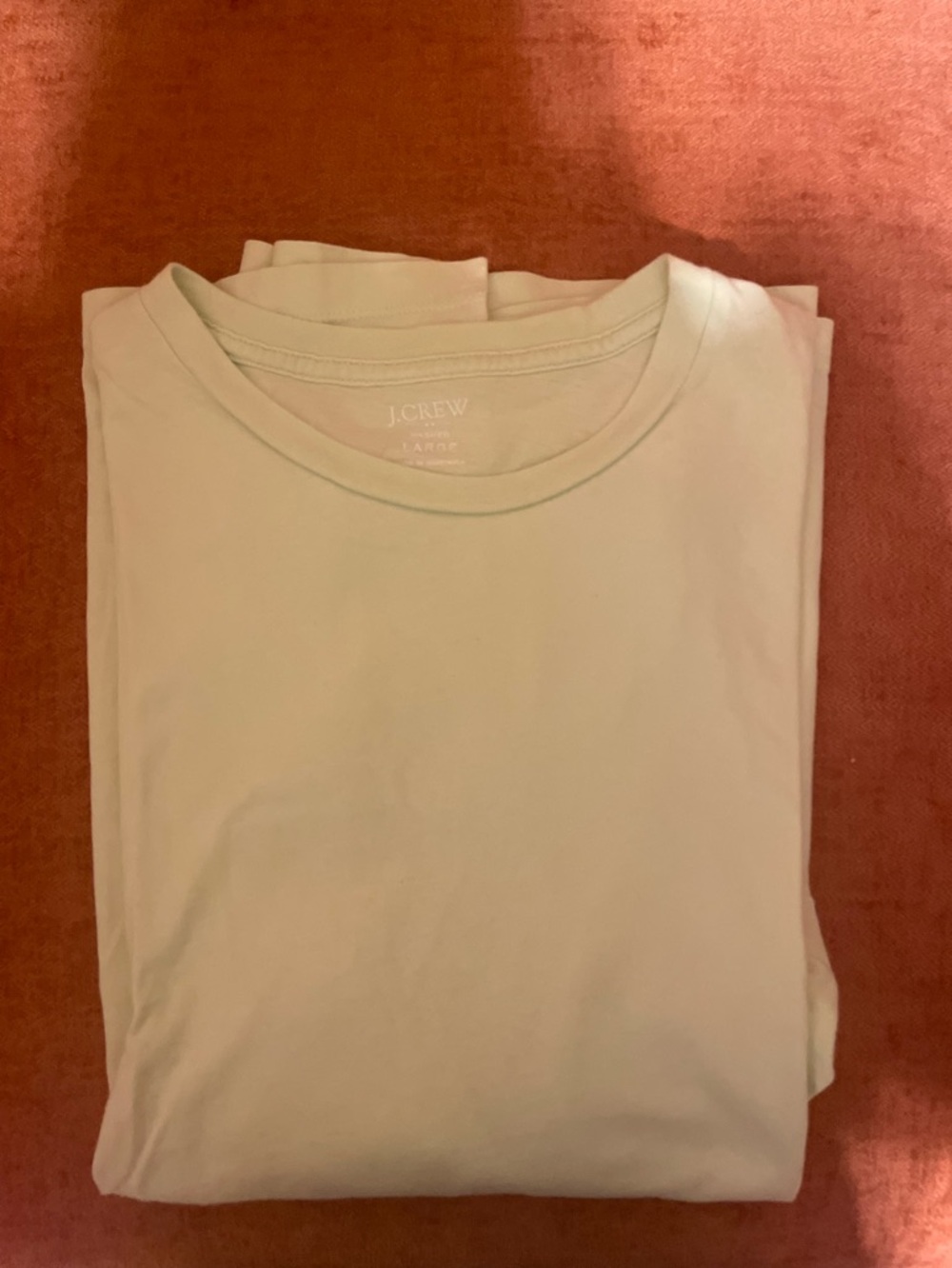 J. Crew Men’s Mint Green T Shirt